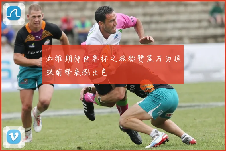 加维期待世界杯之旅称赞莱万为顶级前锋表现出色